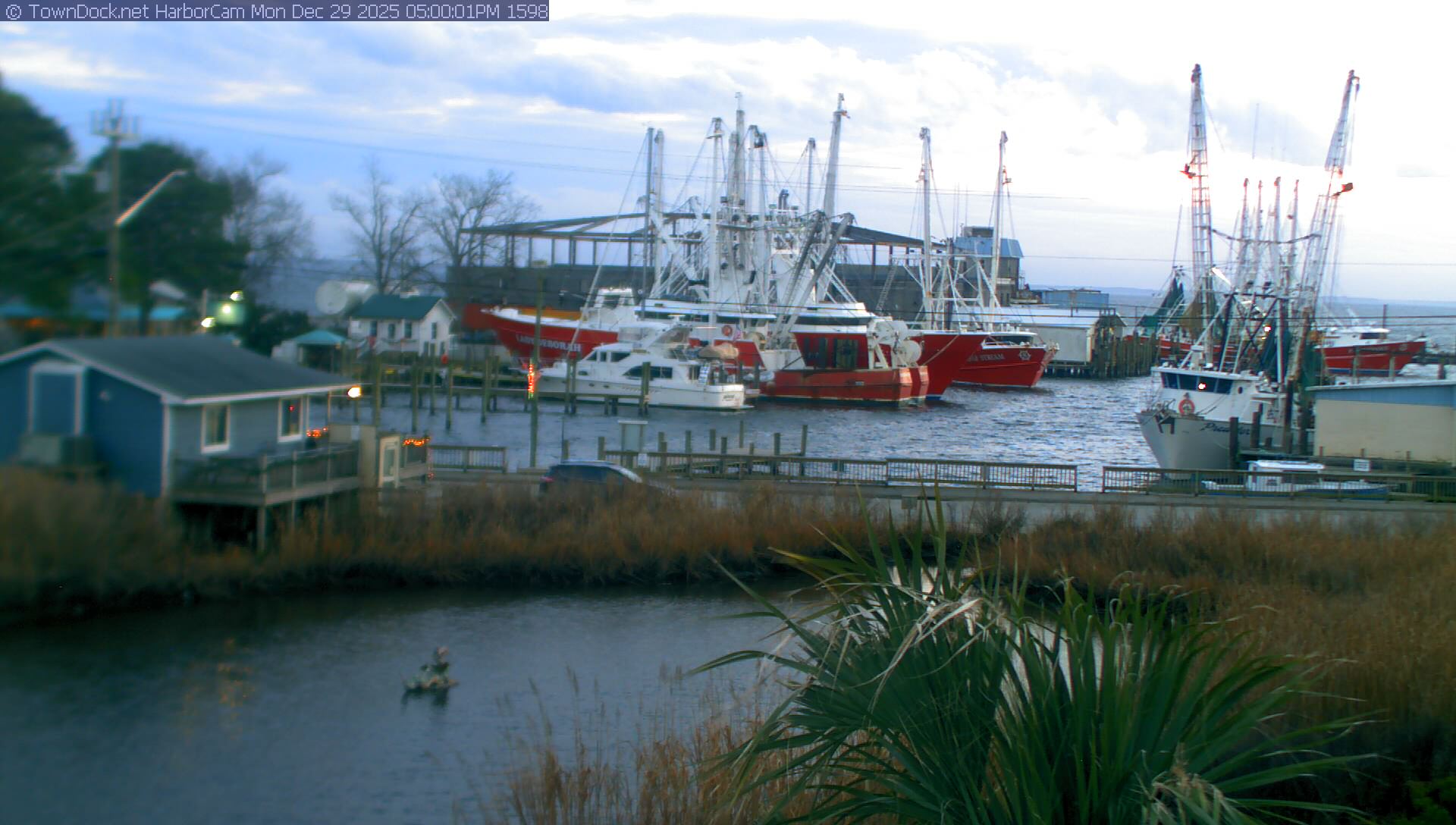 HarborCam, Oriental NC Harbor  Cam