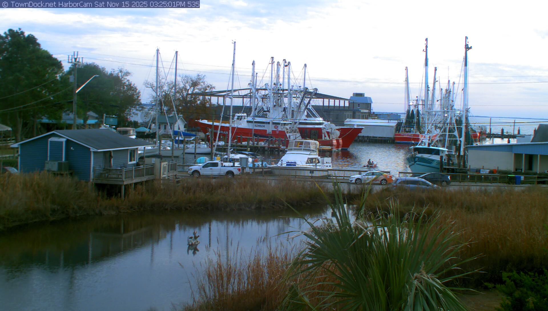 HarborCam, Oriental NC Harbor  Cam