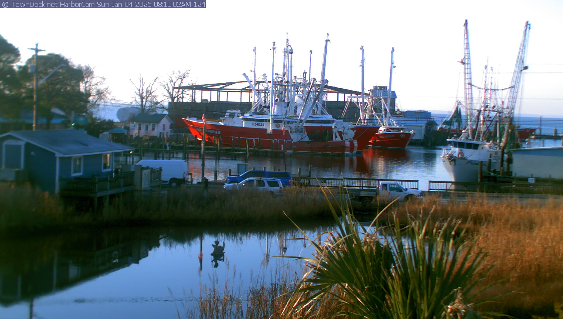 HarborCam, Oriental NC Harbor  Cam