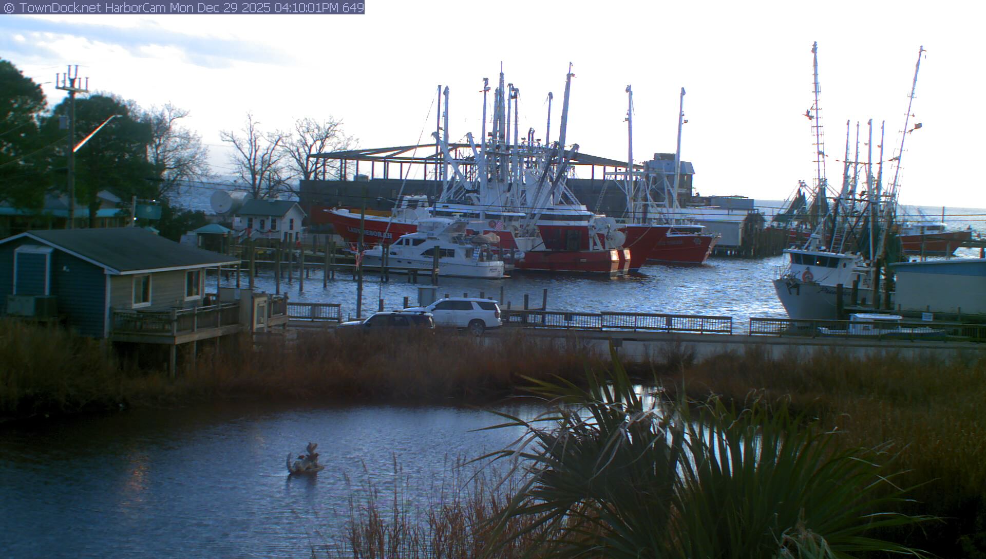 HarborCam, Oriental NC Harbor  Cam