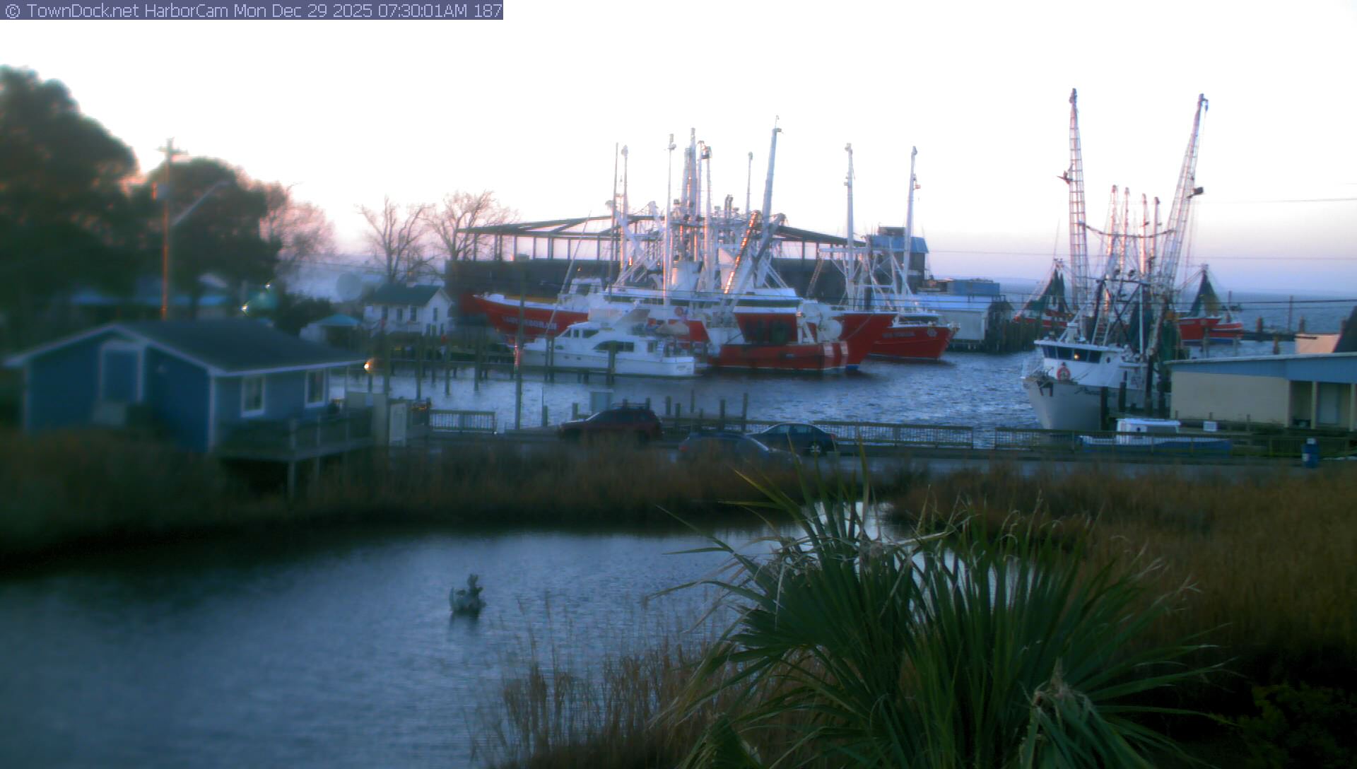 HarborCam, Oriental NC Harbor  Cam