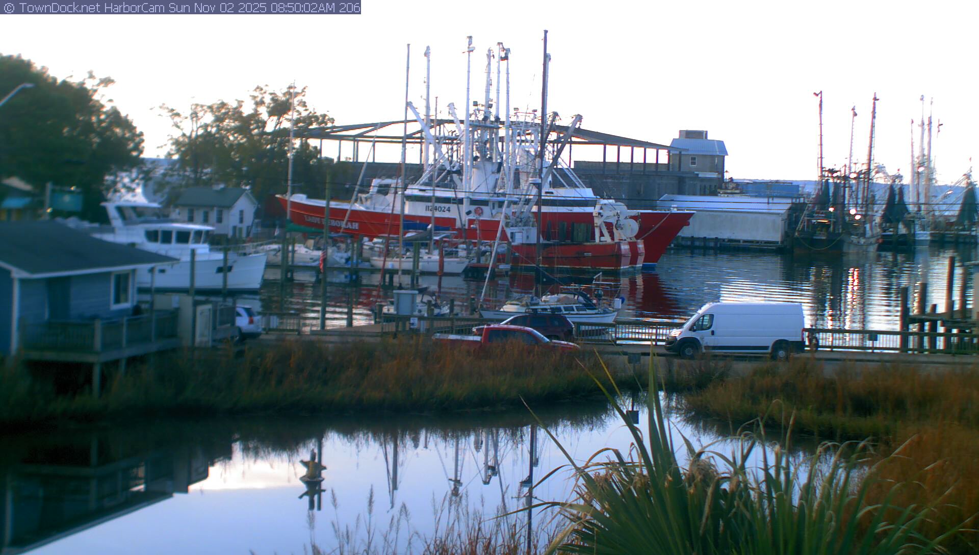 HarborCam, Oriental NC Harbor  Cam