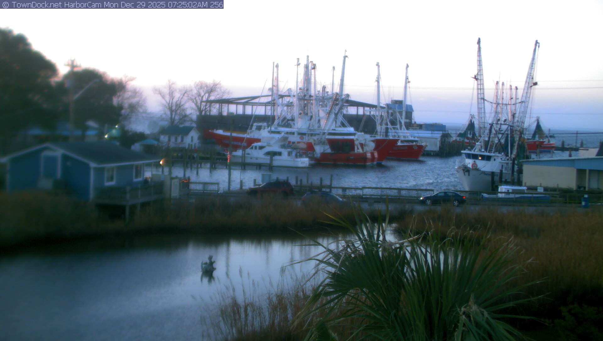 HarborCam, Oriental NC Harbor  Cam