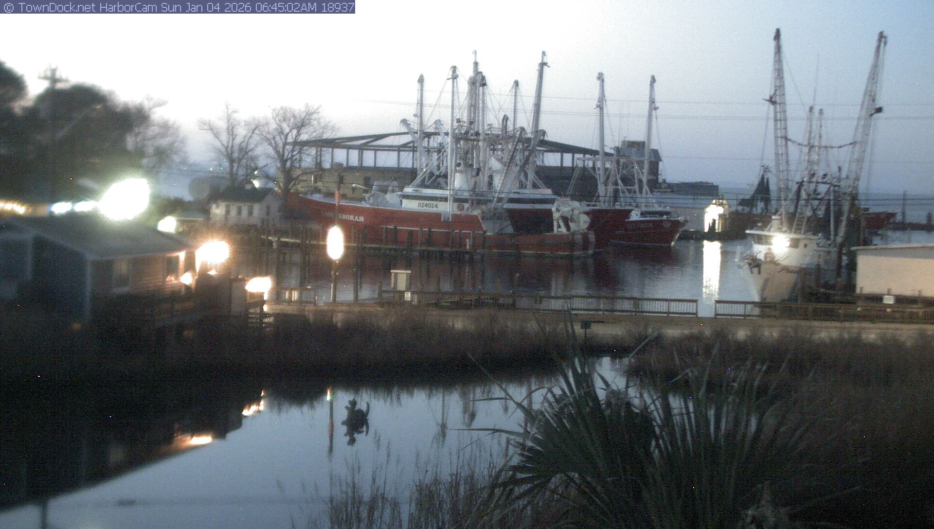 HarborCam, Oriental NC Harbor  Cam