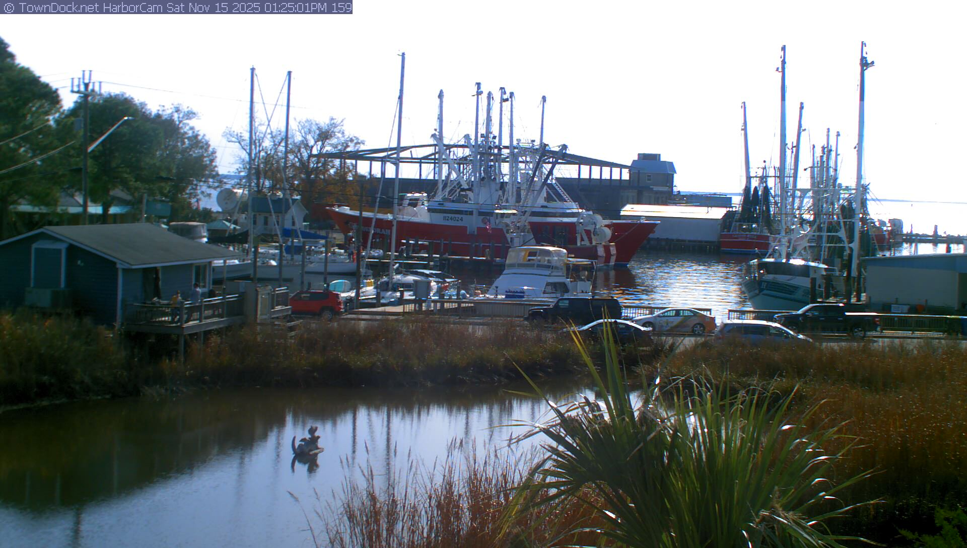 HarborCam, Oriental NC Harbor  Cam