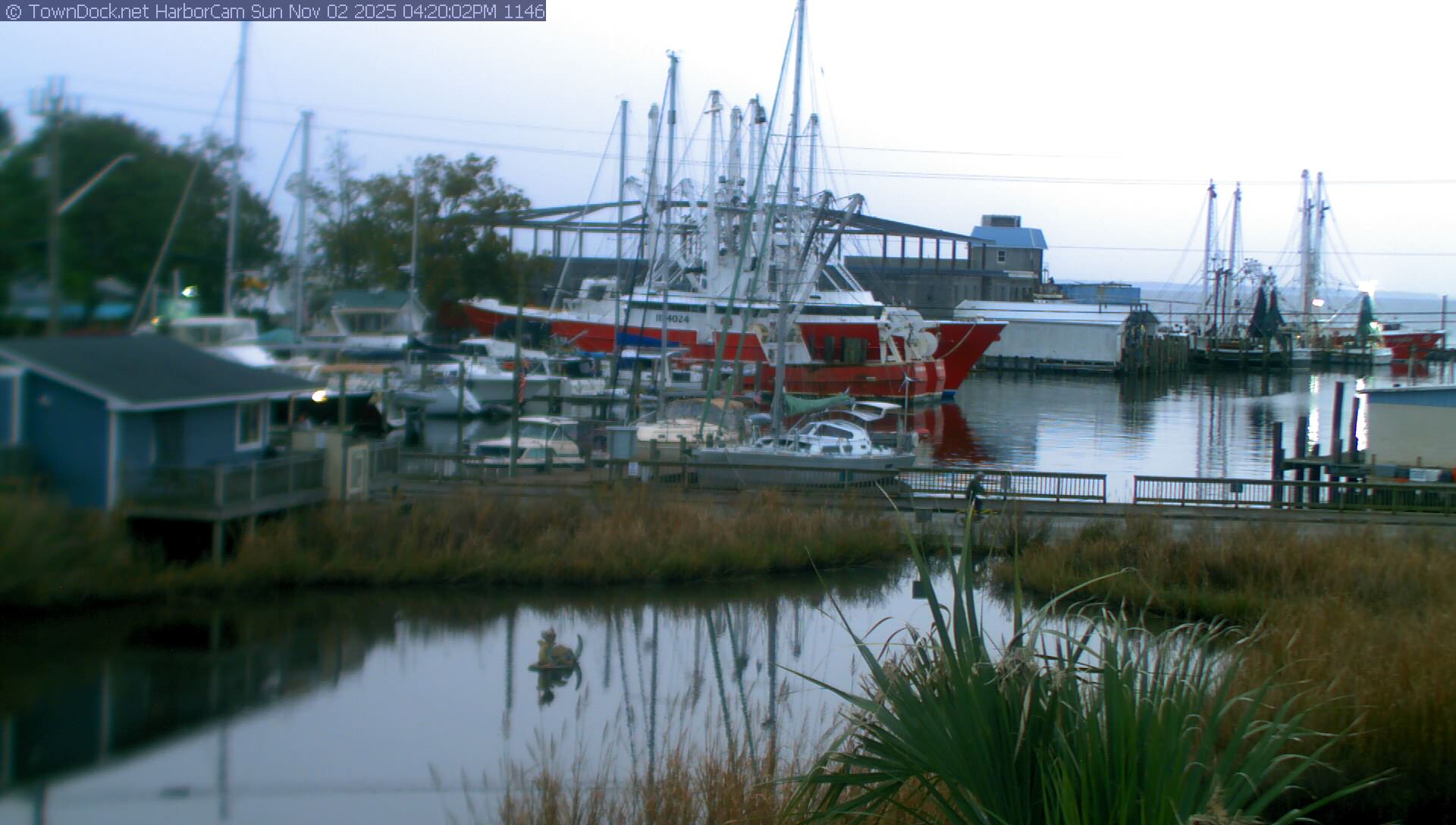 HarborCam, Oriental NC Harbor  Cam