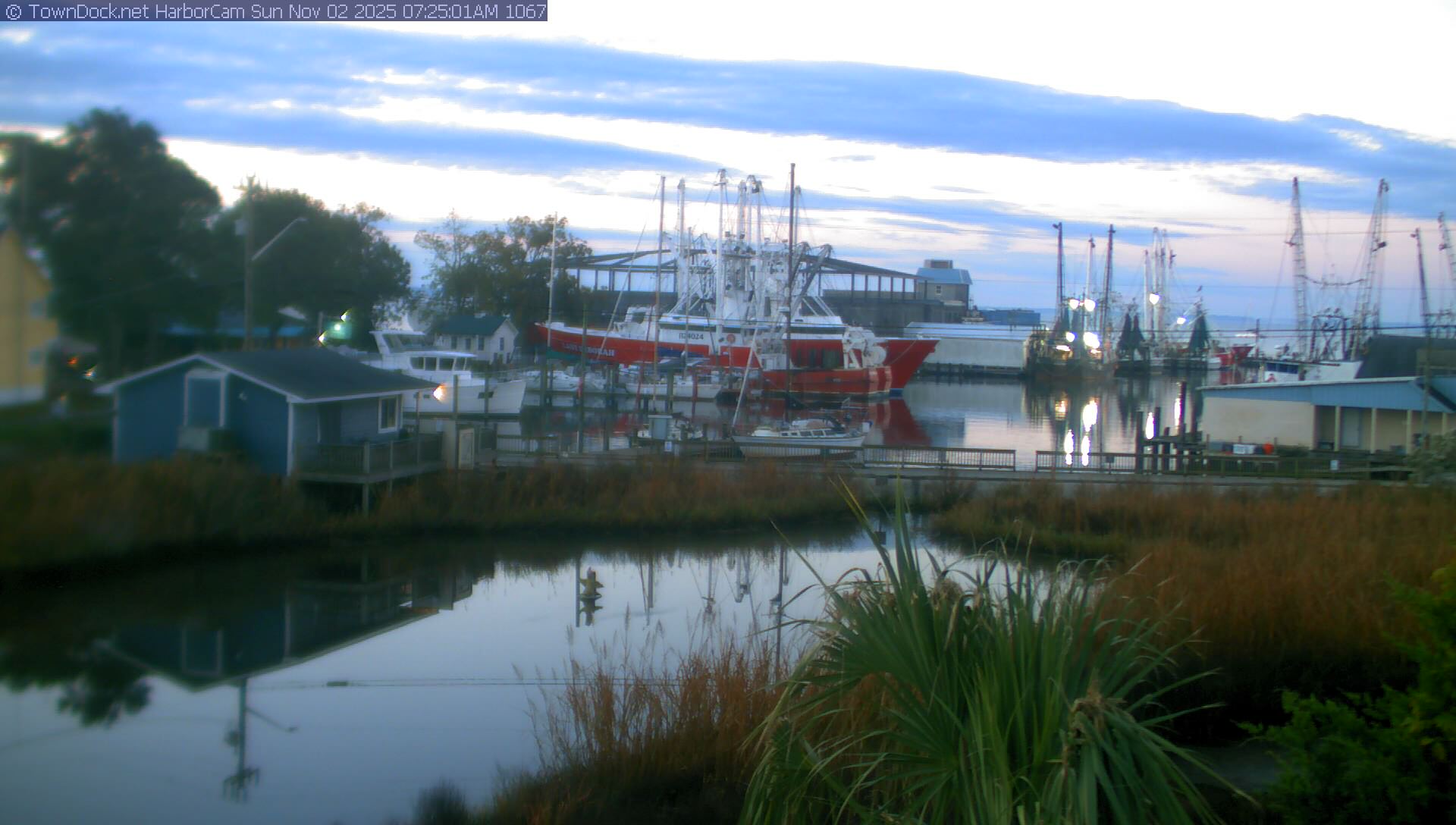 HarborCam, Oriental NC Harbor  Cam