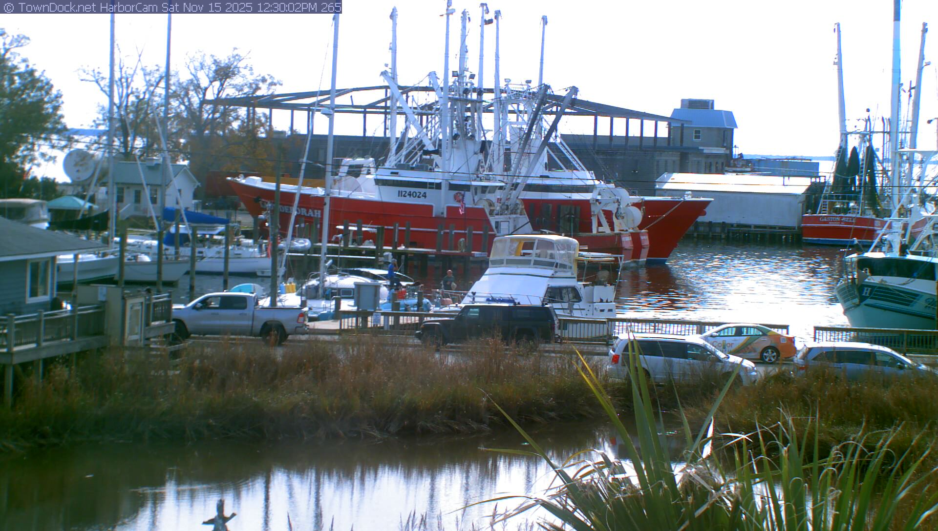 HarborCam, Oriental NC Harbor  Cam