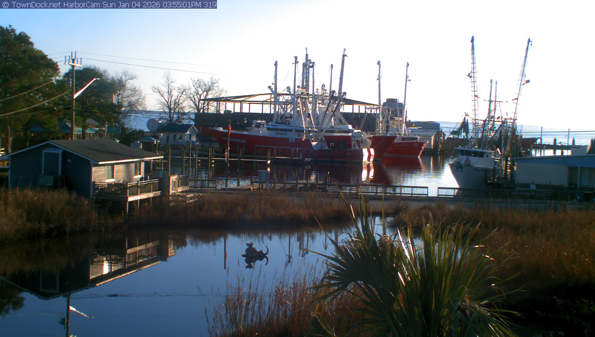 HarborCam Oriental NC News, Weather, Photos