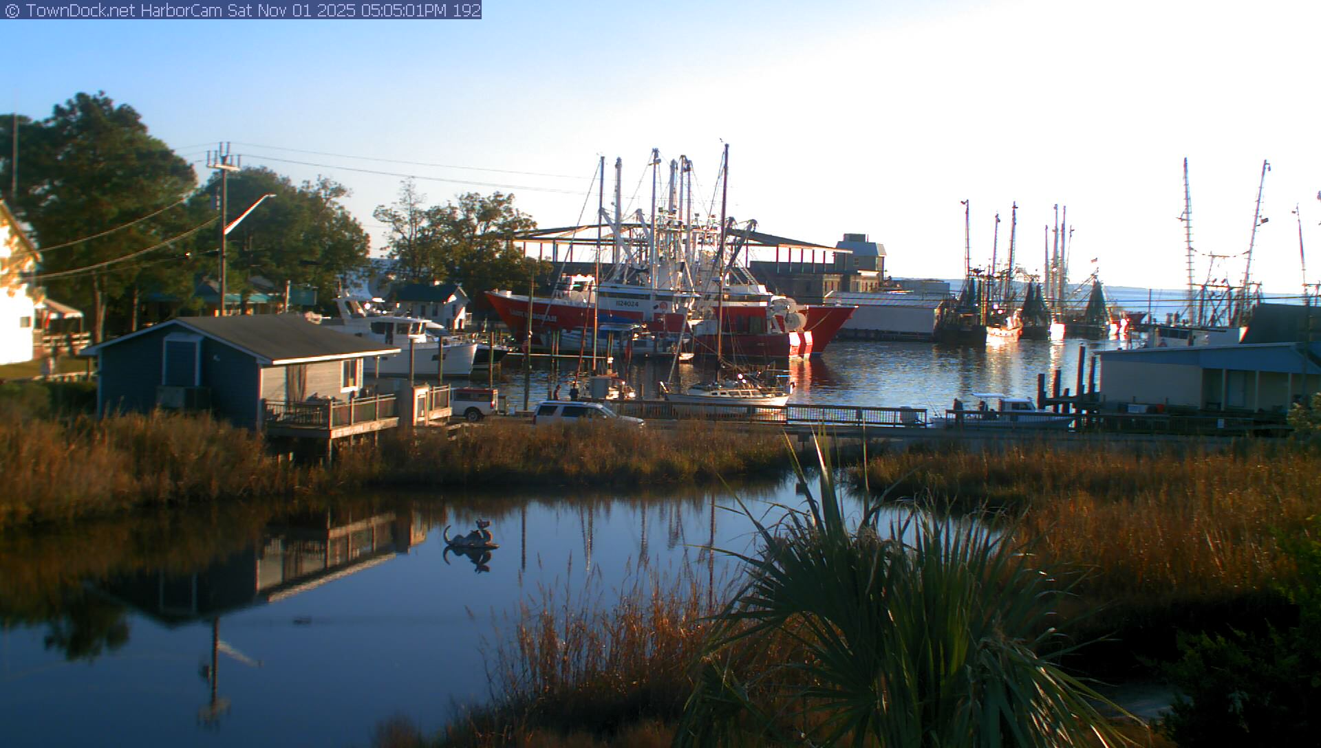 HarborCam, Oriental NC Harbor  Cam