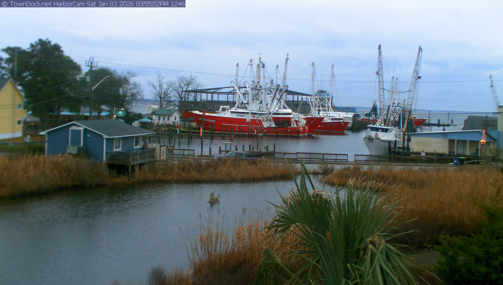 HarborCam, Oriental NC Harbor  Cam