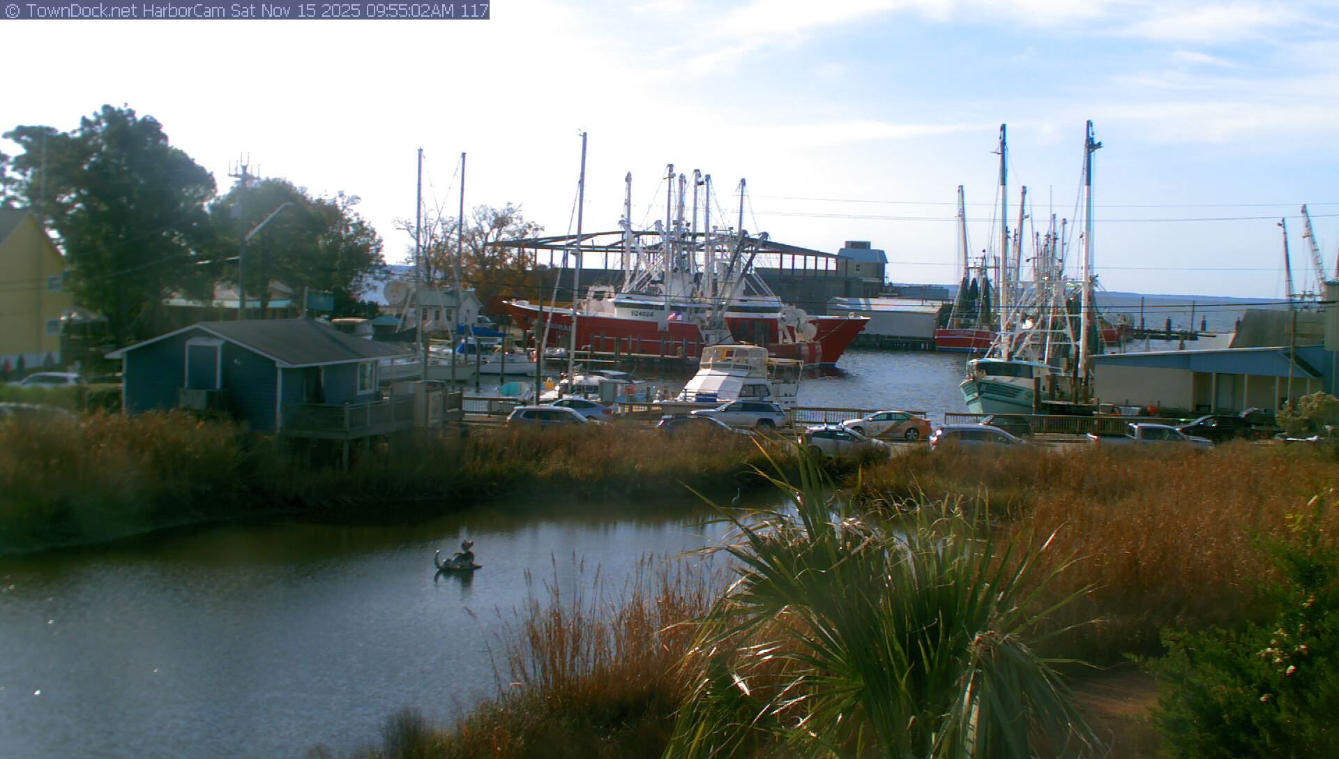 HarborCam, Oriental NC Harbor  Cam