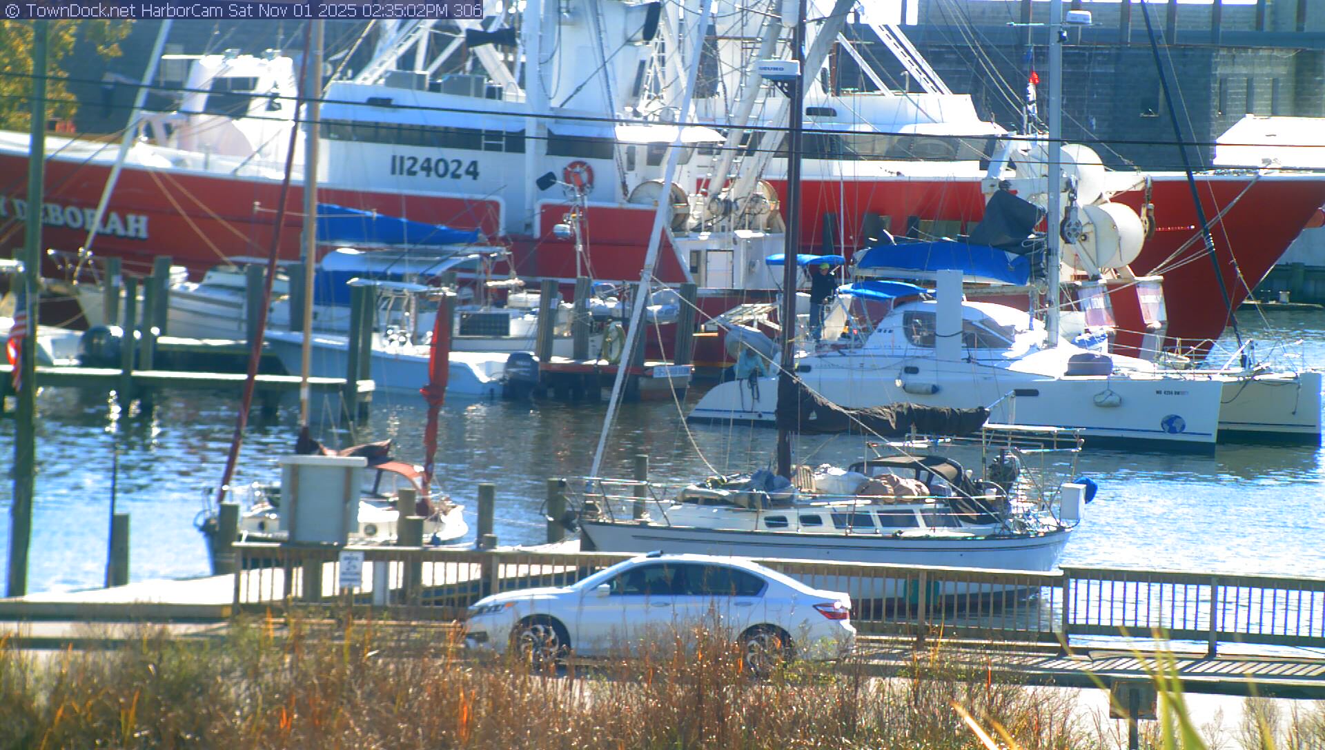 HarborCam, Oriental NC Harbor  Cam