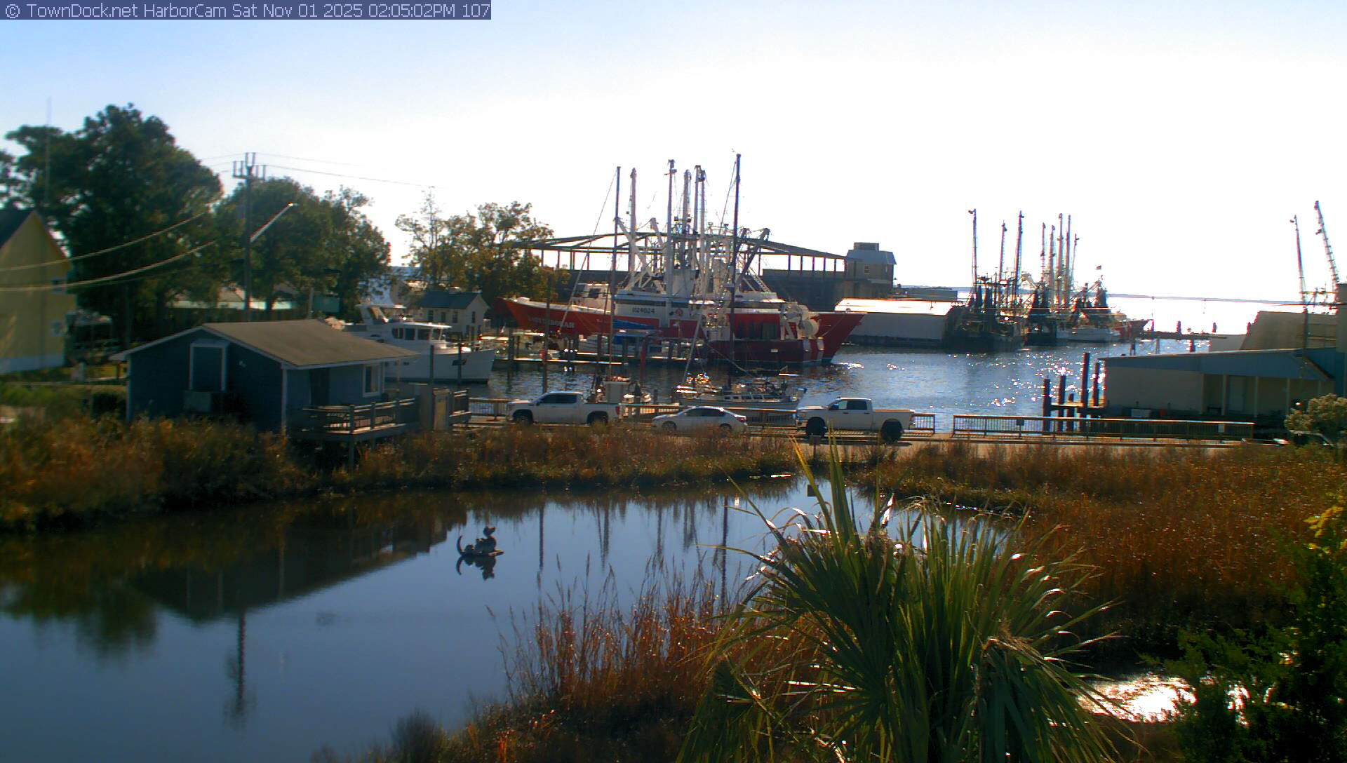 HarborCam, Oriental NC Harbor  Cam