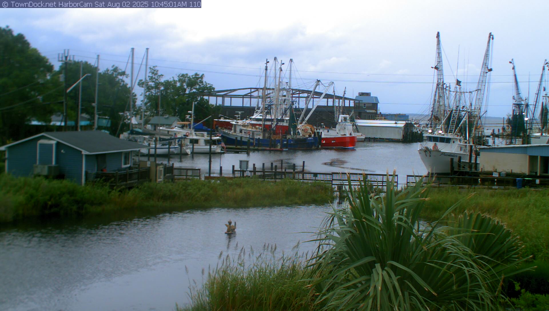 Harborcam oriental nc harbor web cam towndock