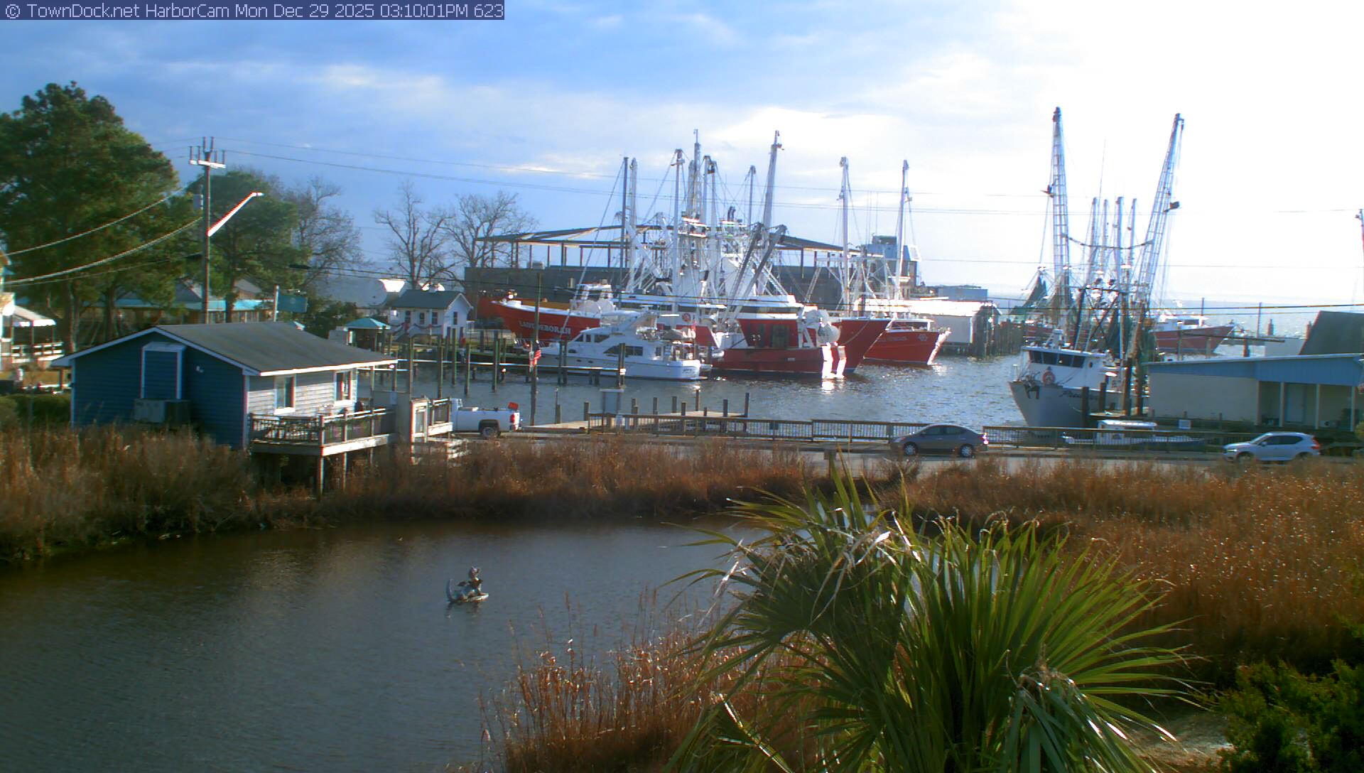 HarborCam, Oriental NC Harbor  Cam