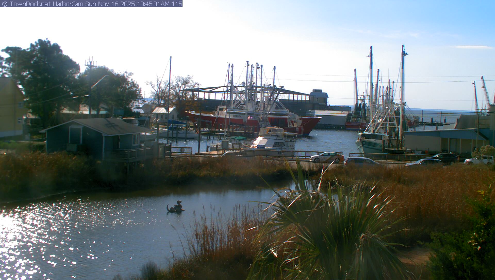 HarborCam, Oriental NC Harbor  Cam