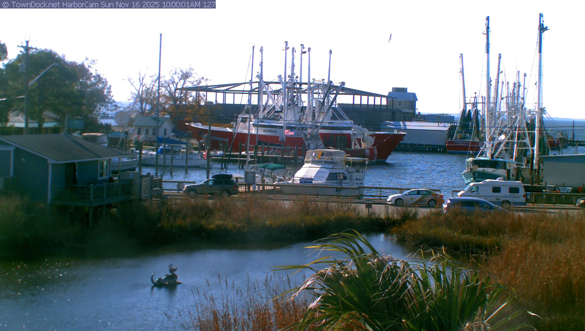 HarborCam, Oriental NC Harbor  Cam