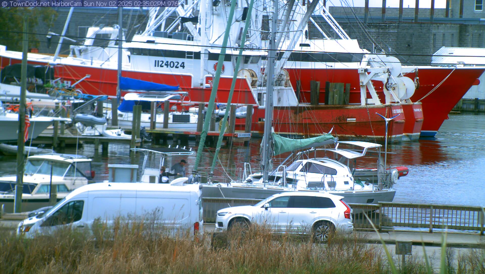 HarborCam, Oriental NC Harbor  Cam