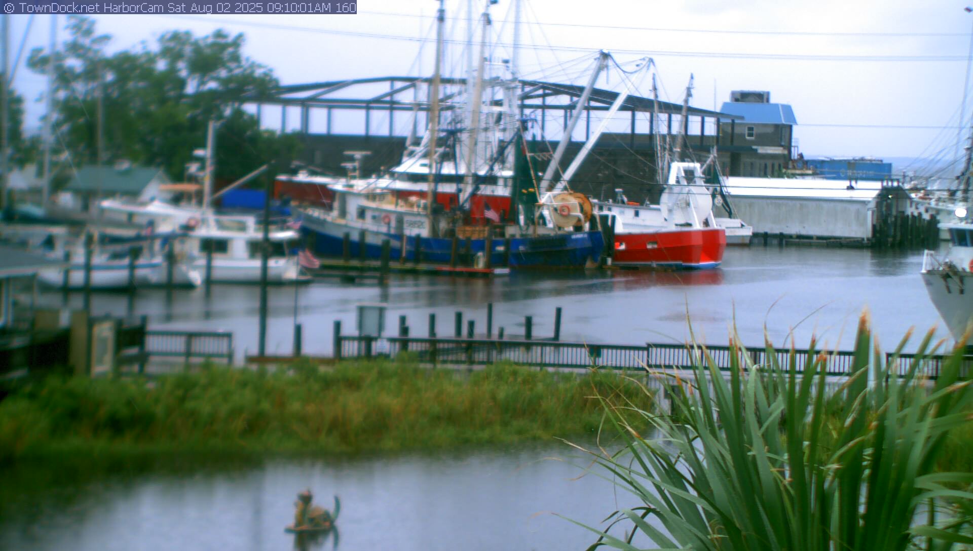 Harborcam oriental nc harbor web cam towndock