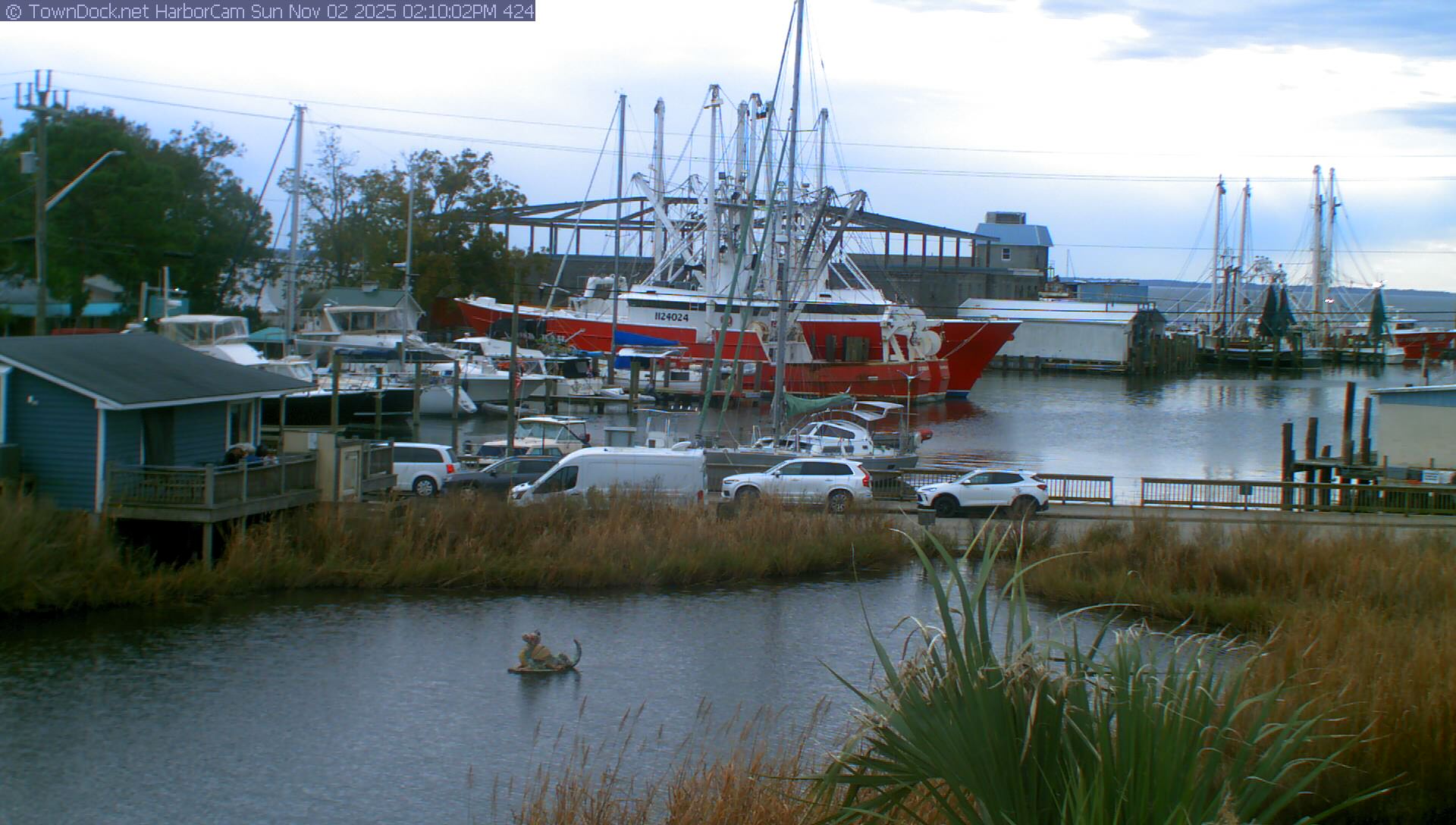 HarborCam, Oriental NC Harbor  Cam