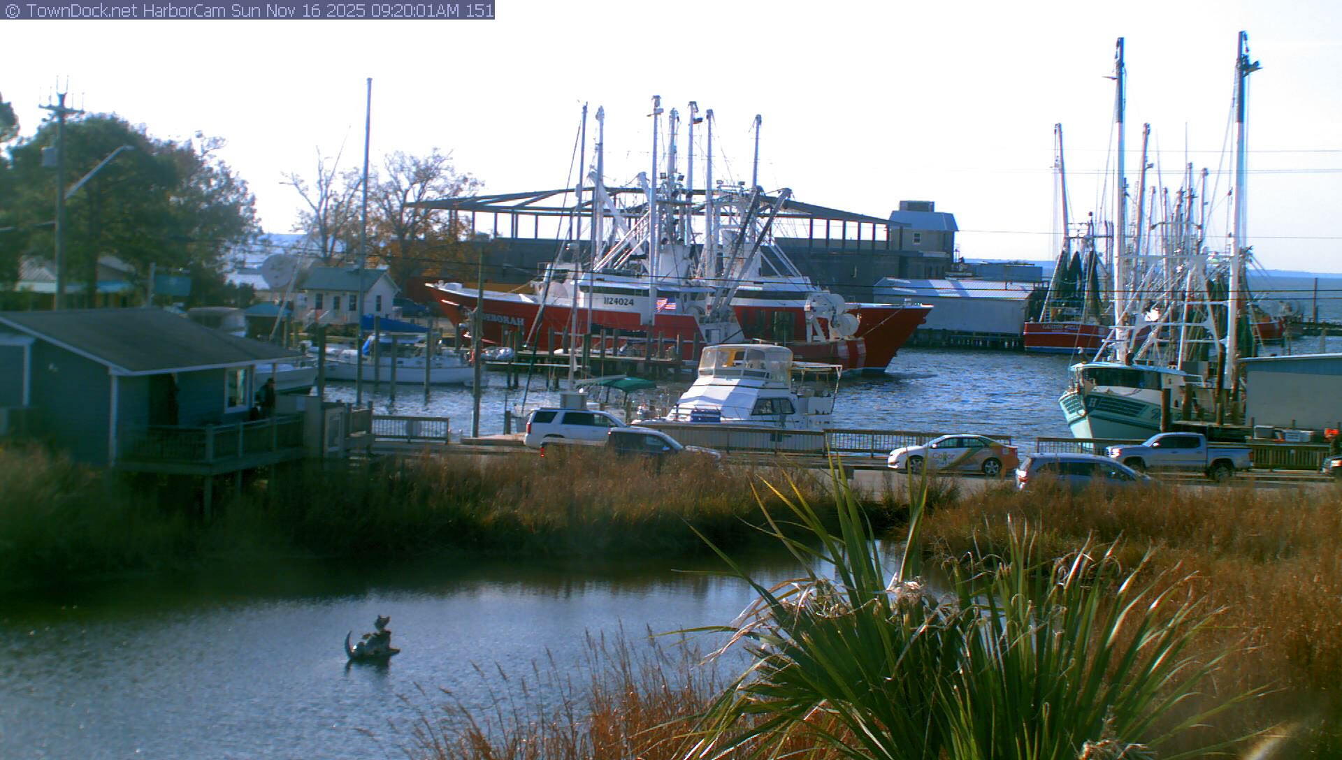 HarborCam, Oriental NC Harbor  Cam