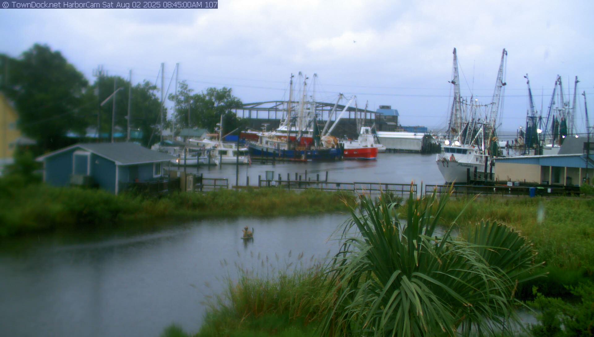Harborcam oriental nc harbor web cam towndock