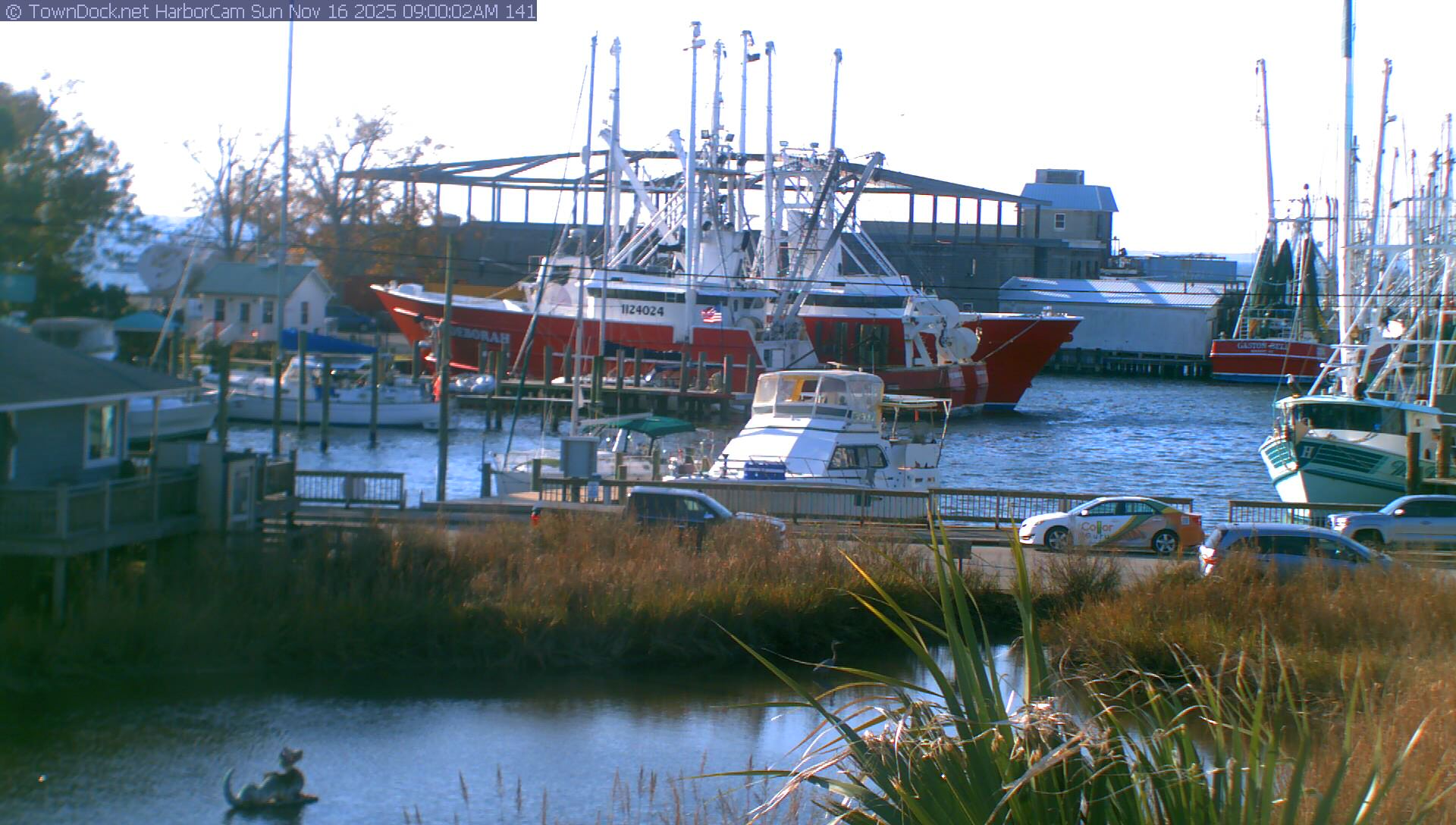 HarborCam, Oriental NC Harbor  Cam