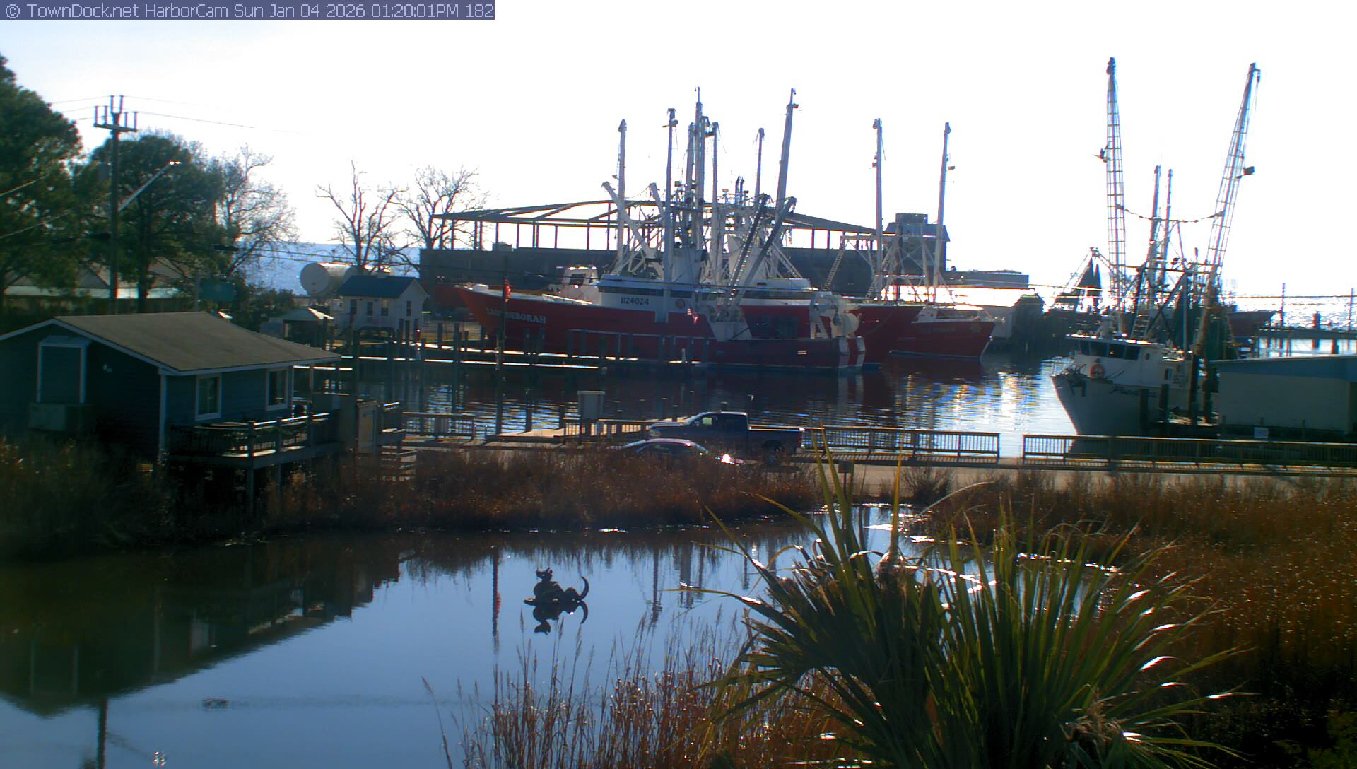 HarborCam, Oriental NC Harbor  Cam