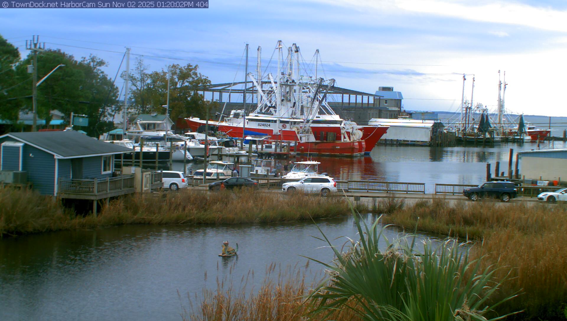 HarborCam, Oriental NC Harbor  Cam