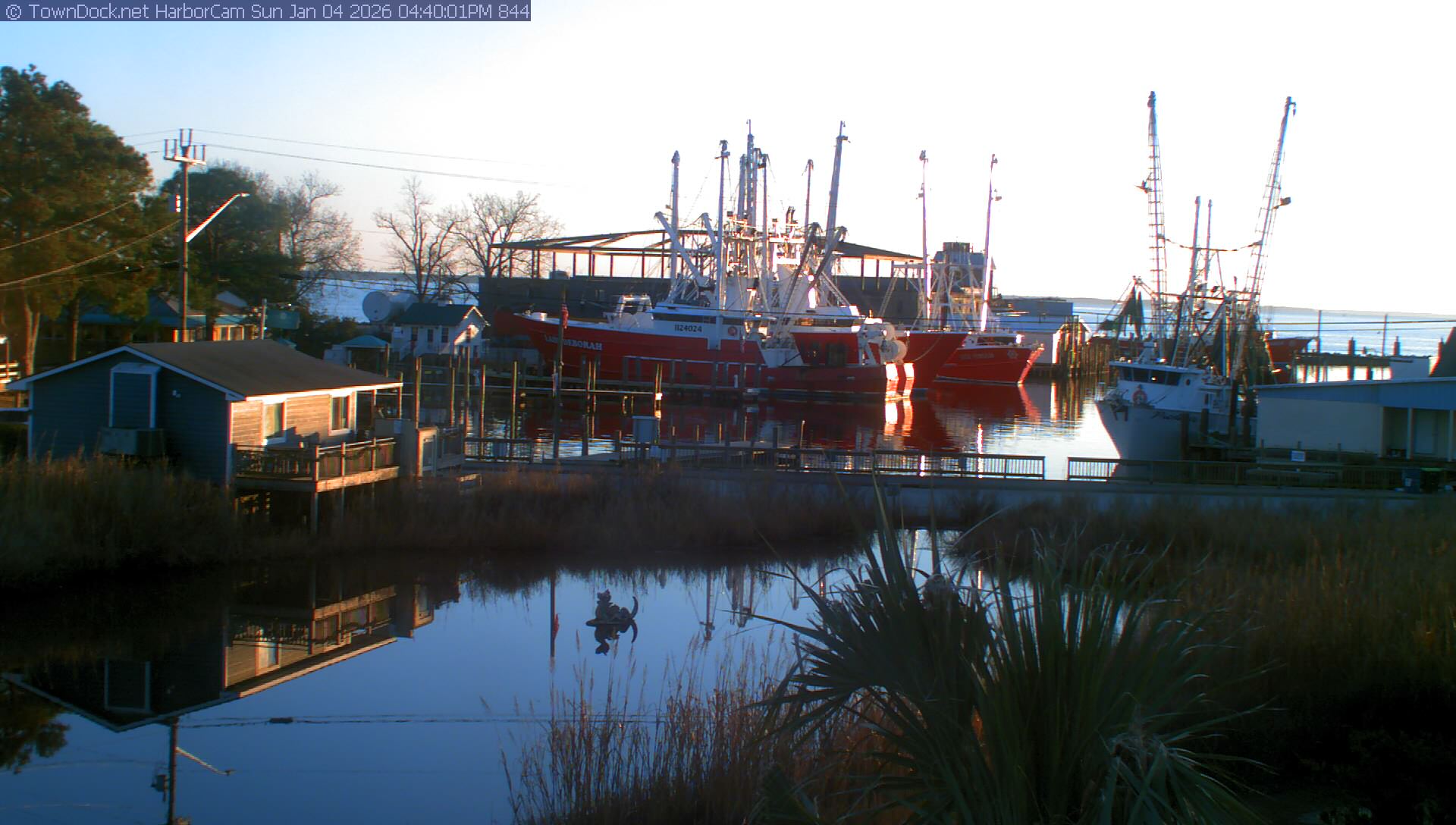 HarborCam, Oriental NC Harbor  Cam