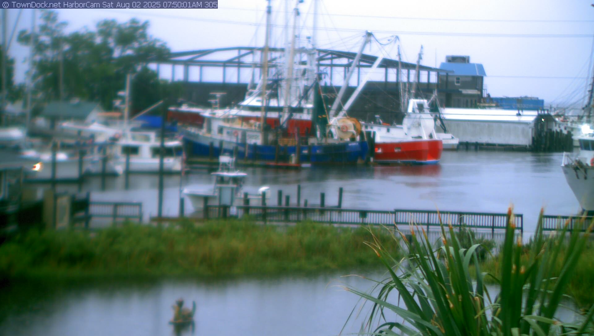 Harborcam oriental nc harbor web cam towndock