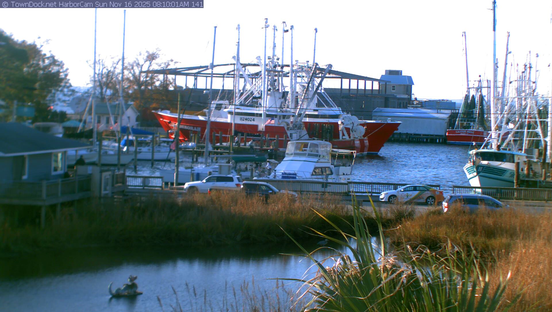 HarborCam, Oriental NC Harbor  Cam