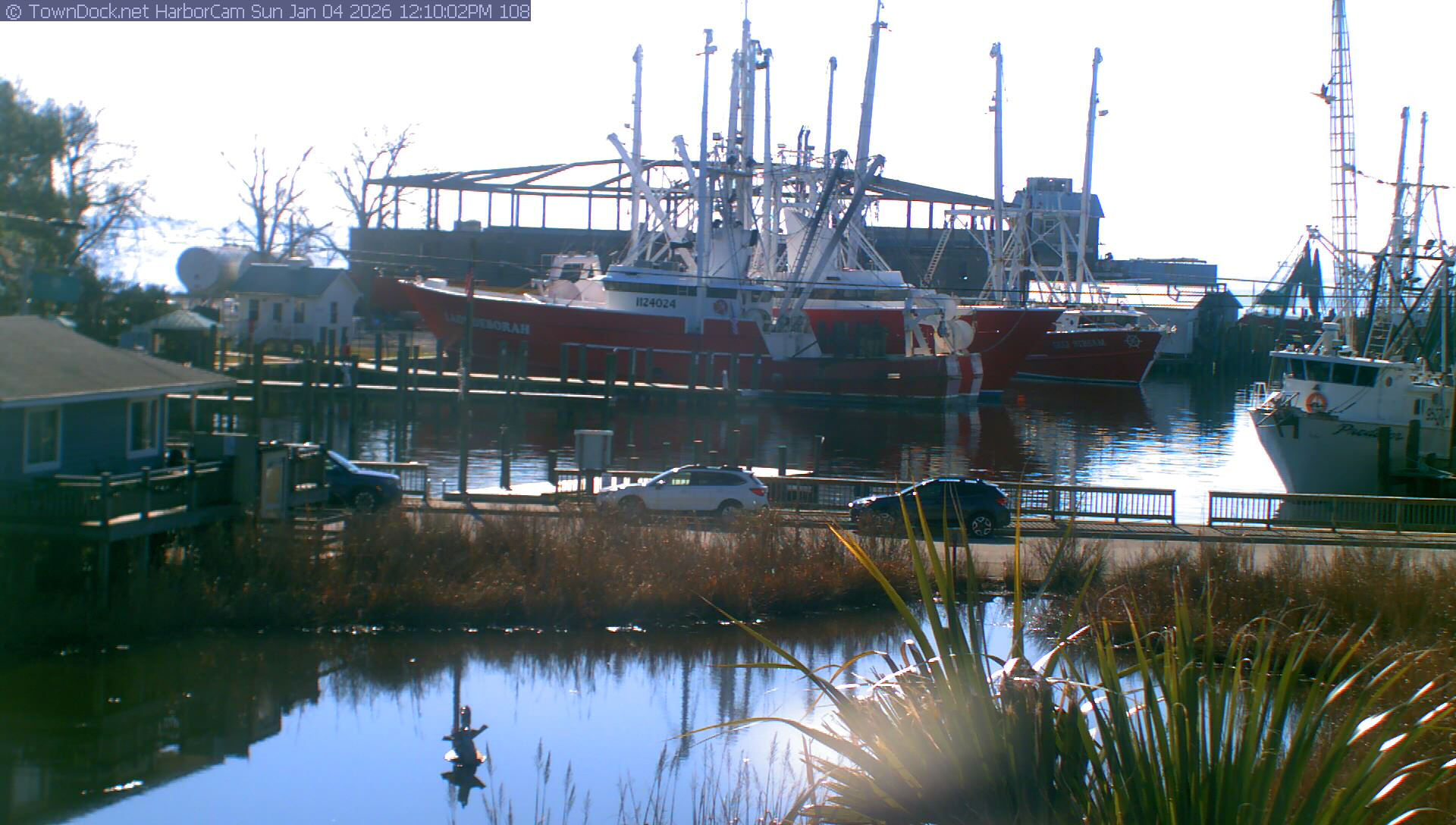 HarborCam, Oriental NC Harbor  Cam