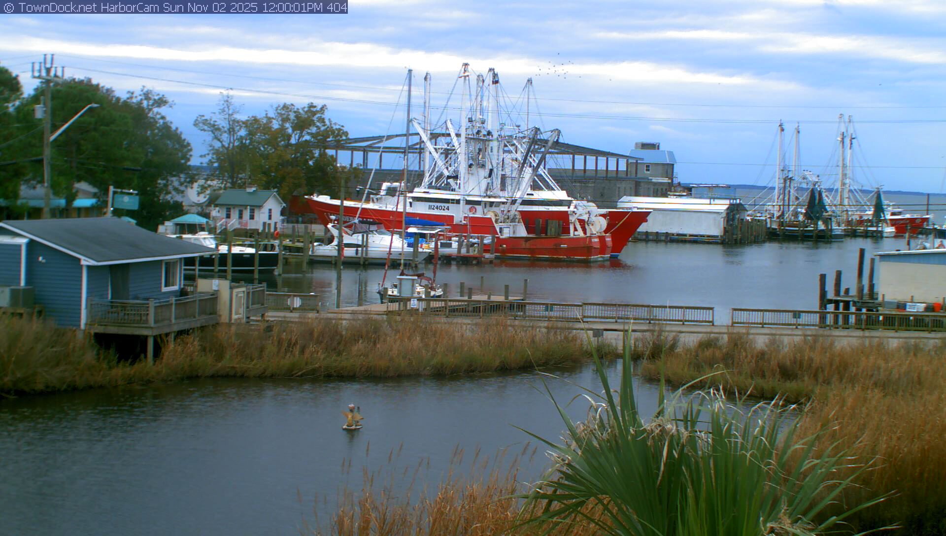 HarborCam, Oriental NC Harbor  Cam