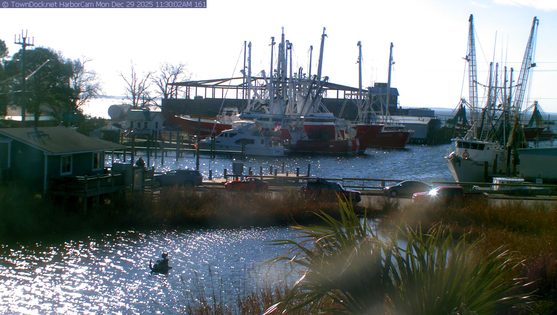 HarborCam, Oriental NC Harbor  Cam