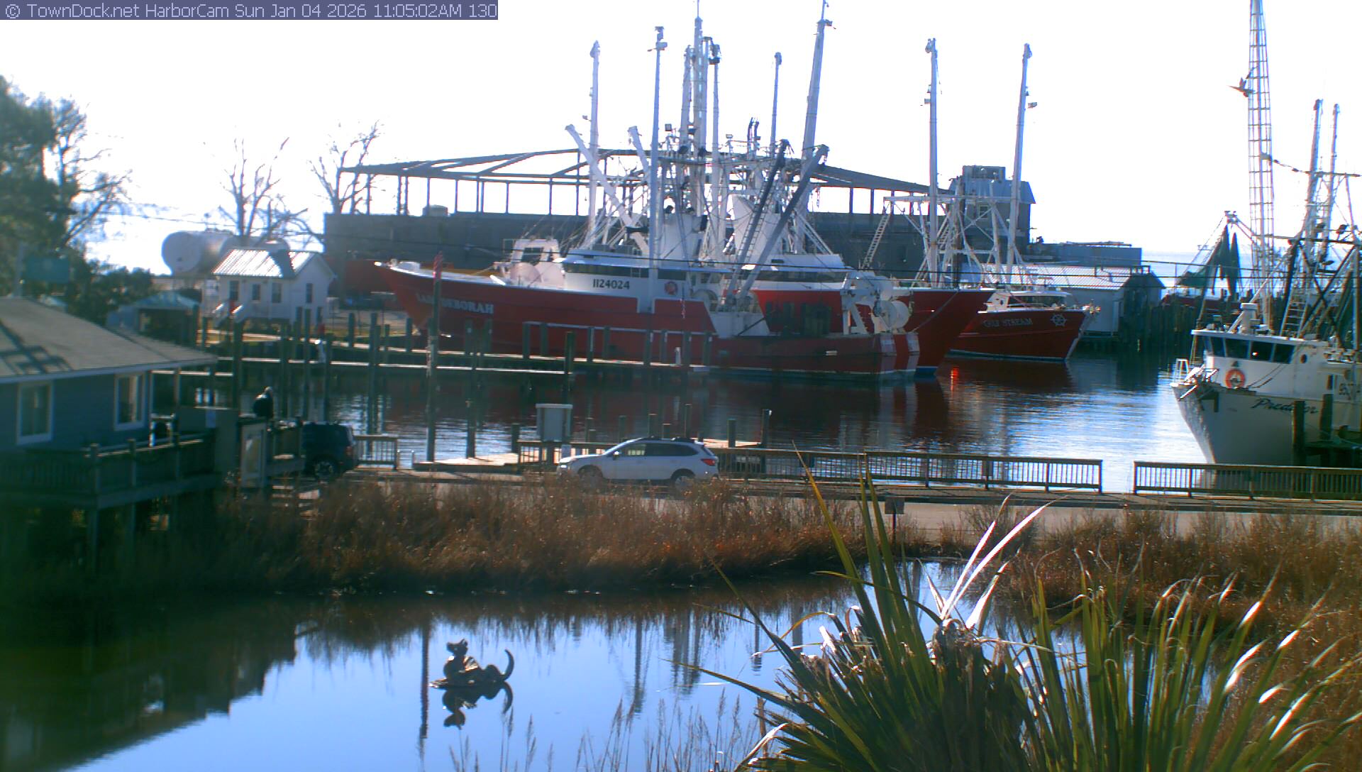 HarborCam, Oriental NC Harbor  Cam