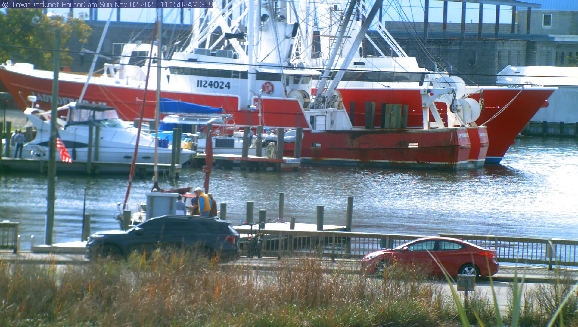 HarborCam, Oriental NC Harbor  Cam
