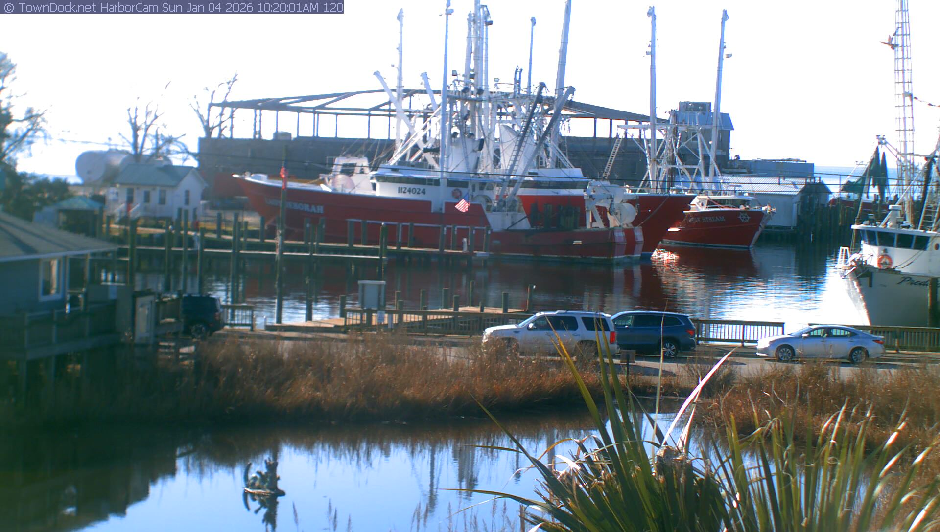 HarborCam, Oriental NC Harbor  Cam