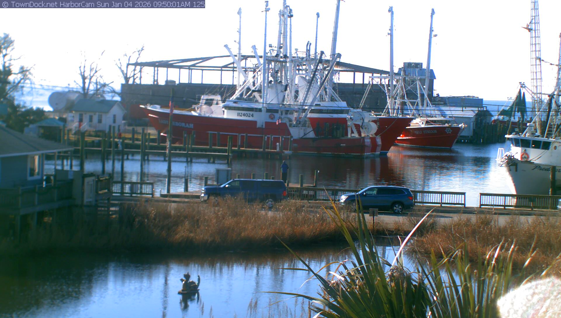 HarborCam, Oriental NC Harbor  Cam