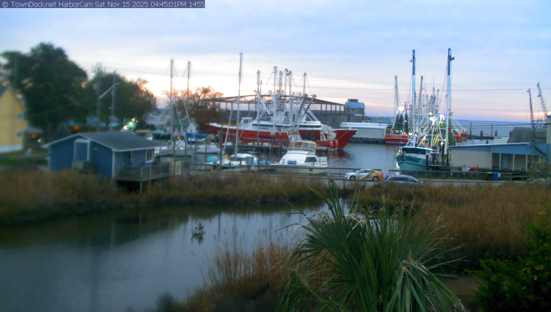 HarborCam, Oriental NC Harbor  Cam