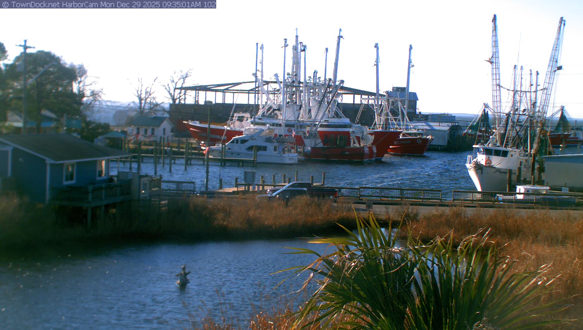 HarborCam, Oriental NC Harbor  Cam