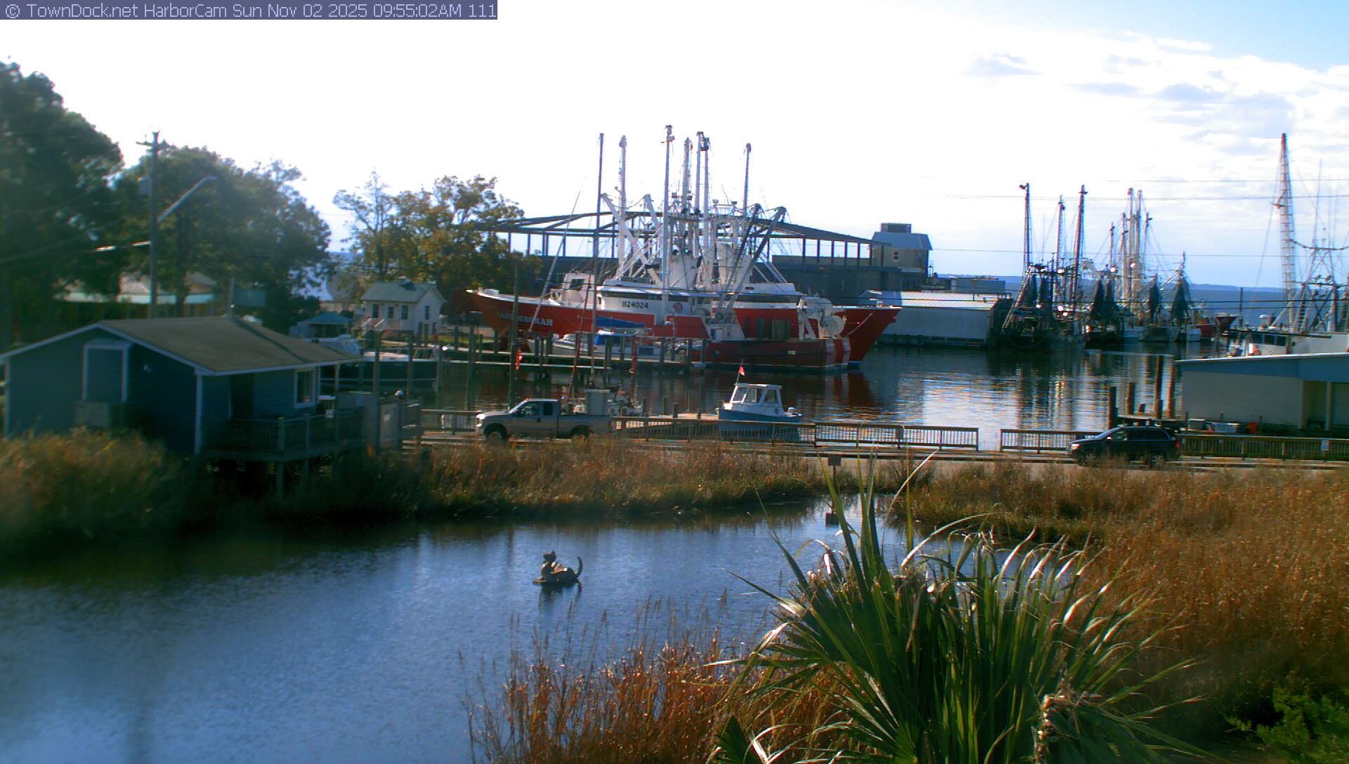 HarborCam, Oriental NC Harbor  Cam
