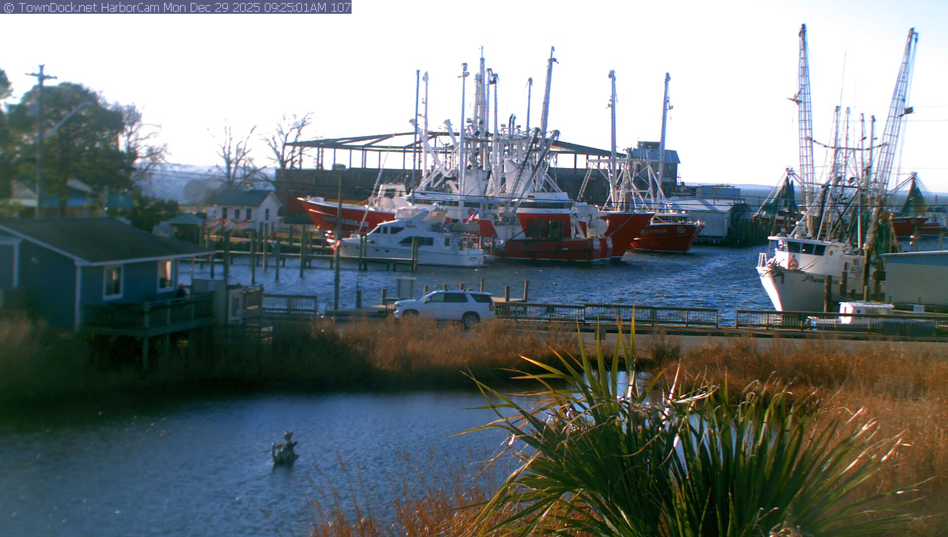 HarborCam, Oriental NC Harbor  Cam