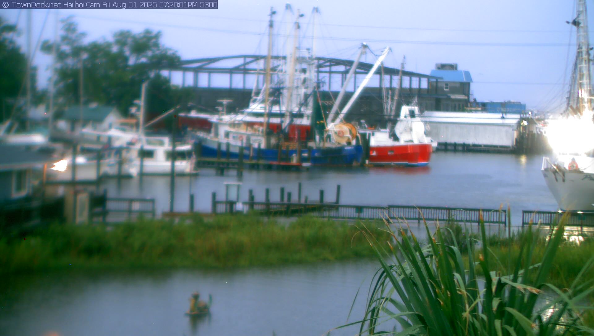 Harborcam oriental nc harbor web cam towndock