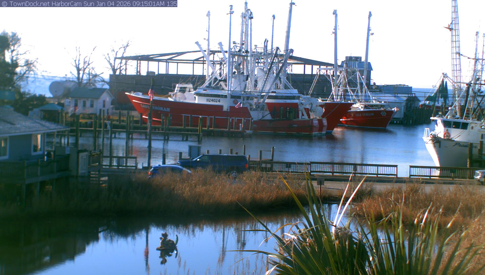 HarborCam, Oriental NC Harbor  Cam