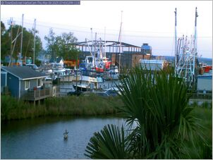 harborcam