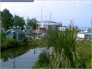 harborcam