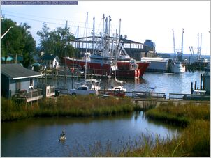 harborcam