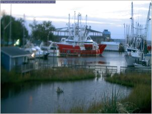 harborcam